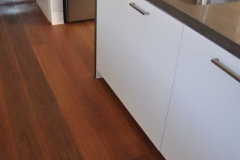 greyironbark-web1