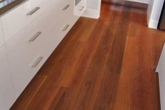 greyironbark-web2