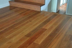 greyironbark-web6