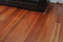 red-ironbark_1-web