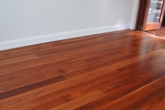 red-ironbark_2-web